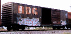 RDG 20029