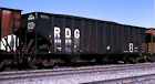 RDG 483875