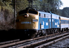 CR 5015